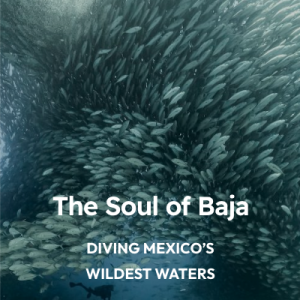 The Soul of Baja