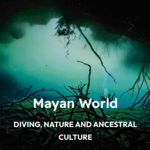 The Mayan World